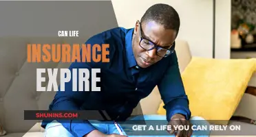 Life Insurance Expiry: What You Need to Know