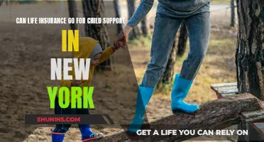 Life Insurance and Child Support: New York's Complex Reality