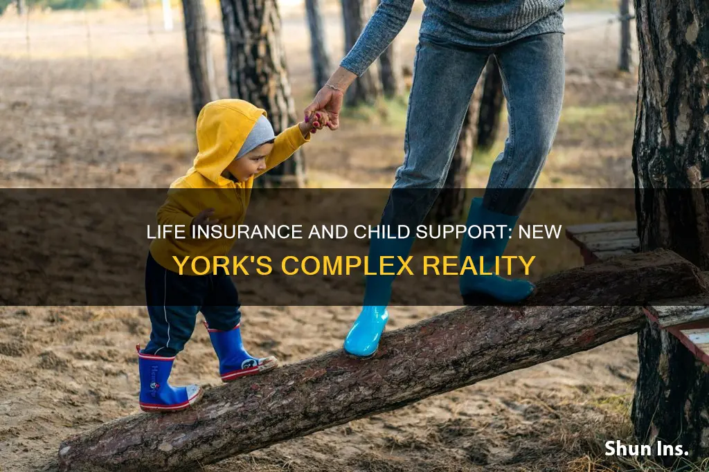 can life insurance go for child support in New York