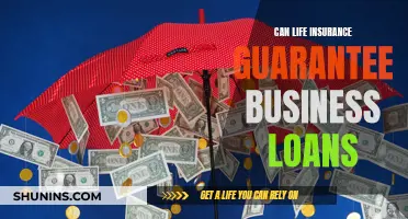 Life Insurance: Business Loan Guarantor?