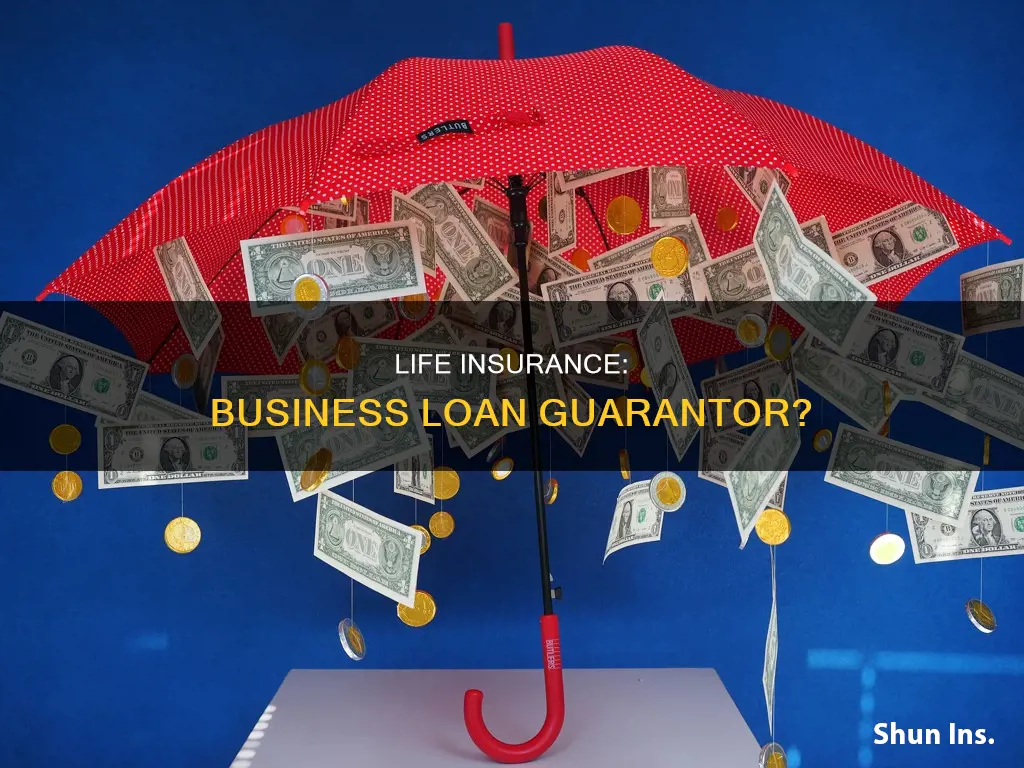 can life insurance guarantee business loans