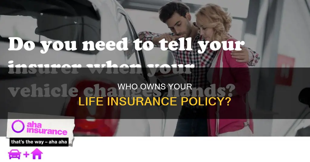 can life insurance owner change