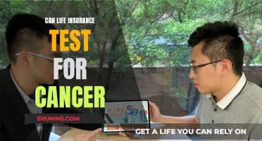 Cancer Testing and Life Insurance: What's the Link?