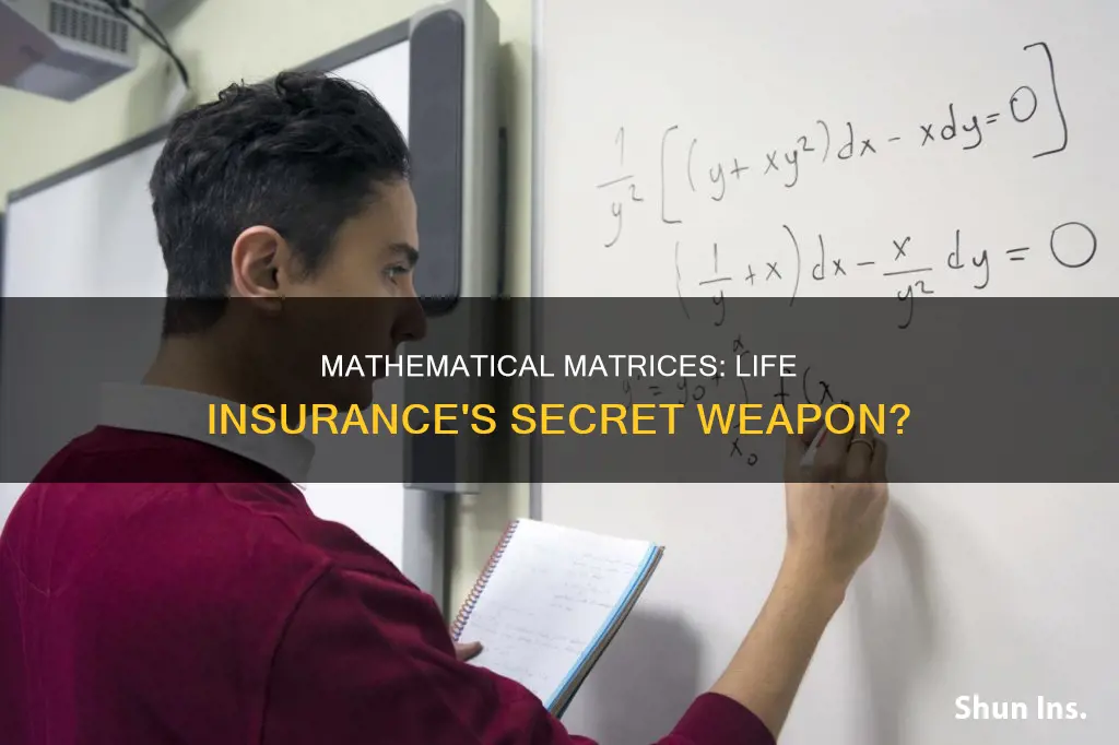 can mathmatical matrices be used in life insurance