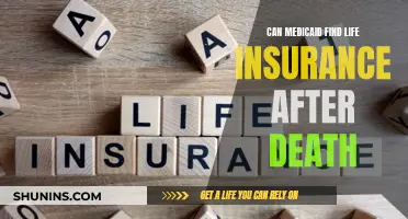 Medicaid and Life Insurance: What Happens After Death?