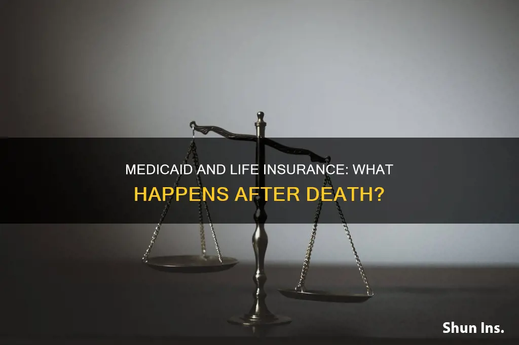 can medicaid find life insurance after death