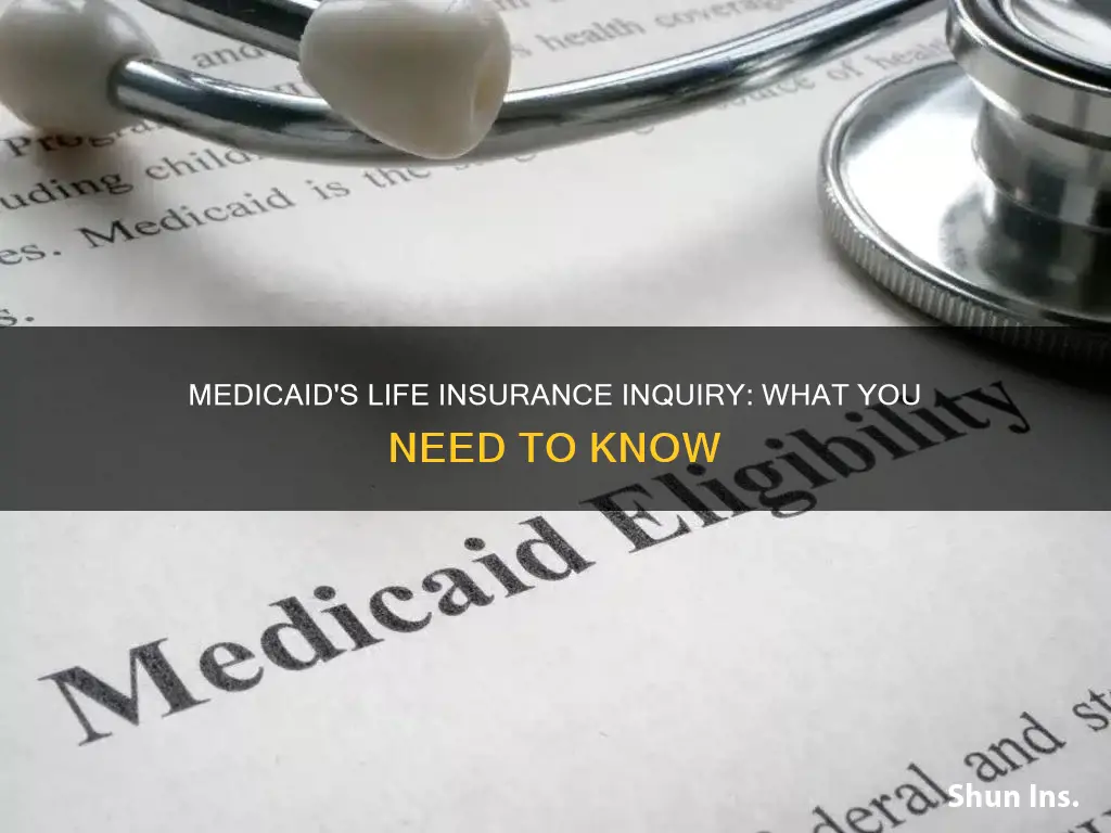 can medicaid find out if you have life insurance