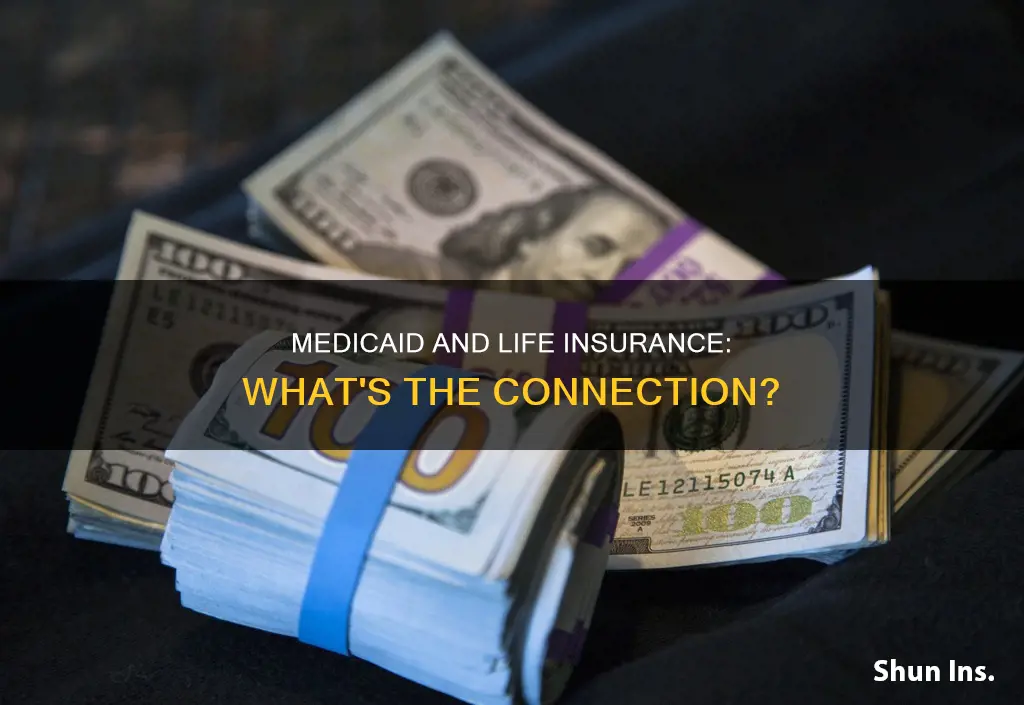 can medicaid find out if you have life insurance