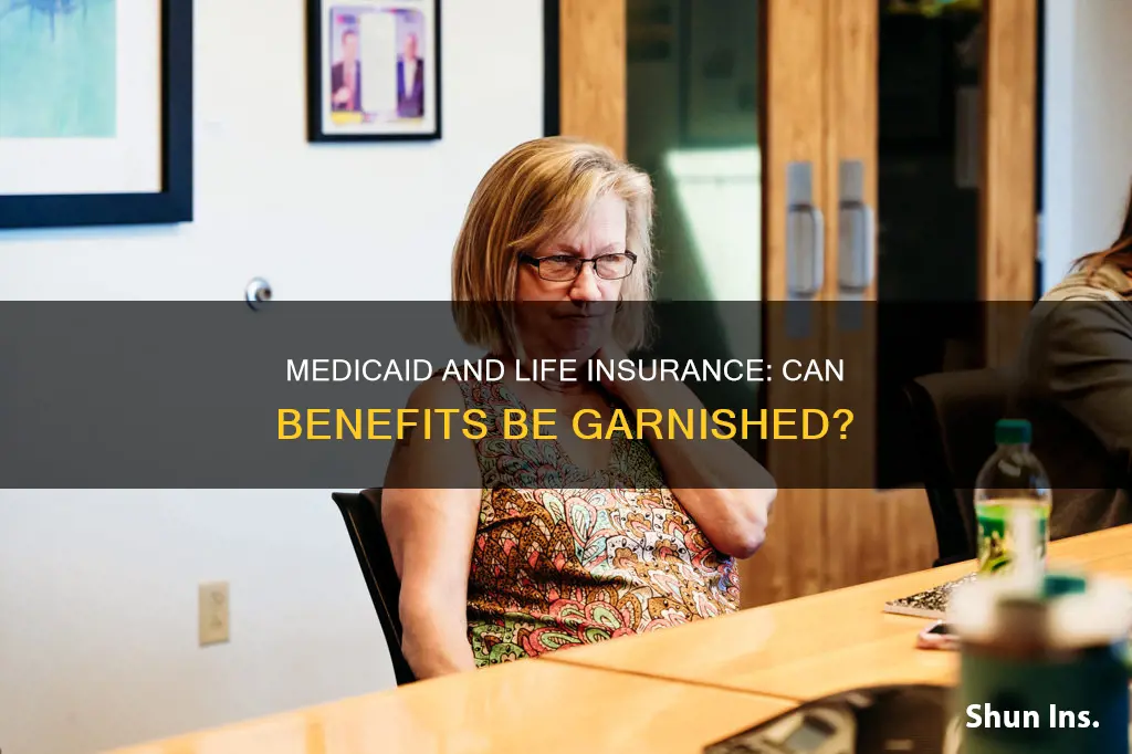 can medicaid garnish your life insurance benefits for your children