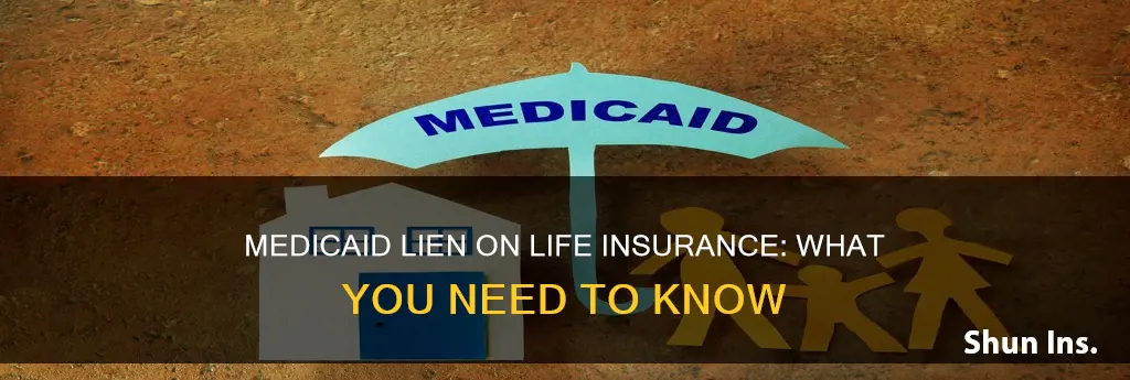 can medicaid lien a life insurance policy
