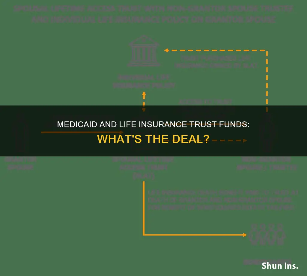 can medicaid take a life insurance trust fund