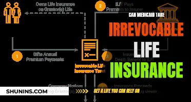 Medicaid and Irrevocable Life Insurance: What's the Deal?