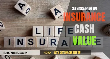 Medicaid and Life Insurance: Cash Value at Risk?