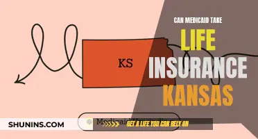 Medicaid and Life Insurance: Kansas-Specific Rules and Regulations