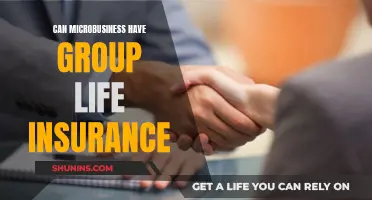 Microbusinesses: Group Life Insurance Options and Benefits