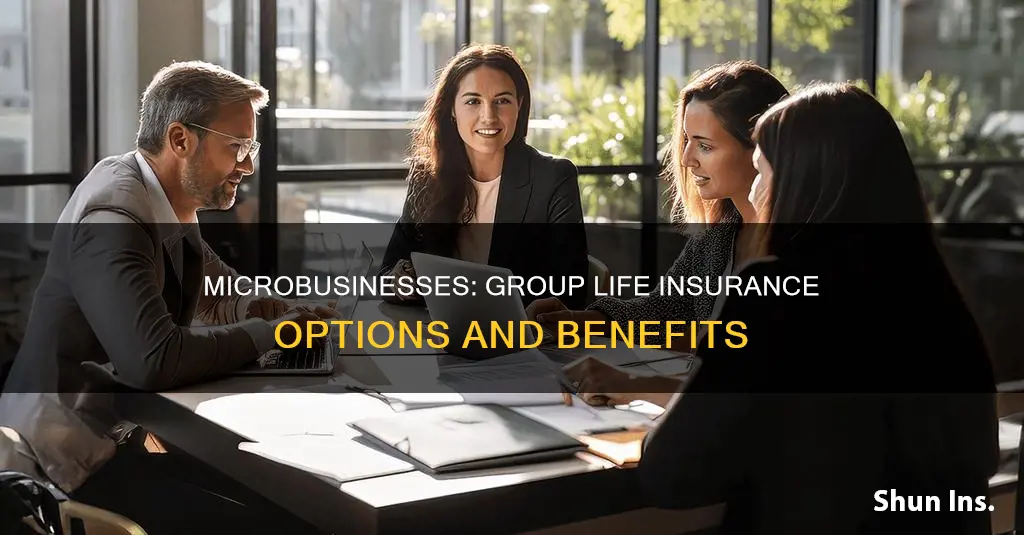 can microbusiness have group life insurance