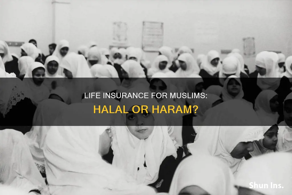 can muslims carry life insurance