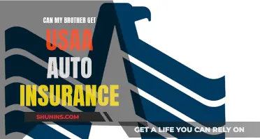 U.S. Auto Insurance: Brothers Included?