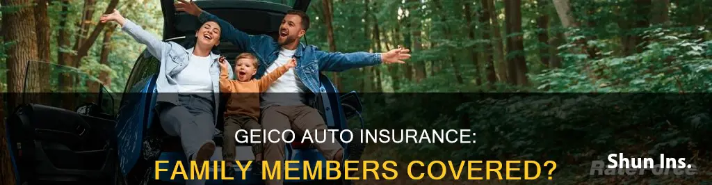 can my family member be on my auto insurance geico