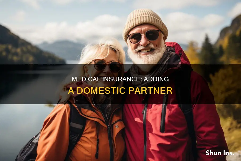 can my girlfriend be domestic partner on my medical insurance
