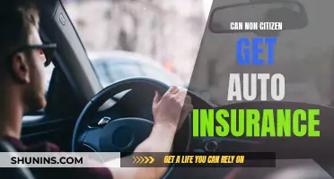 Non-Citizen Auto Insurance: Is It Possible?