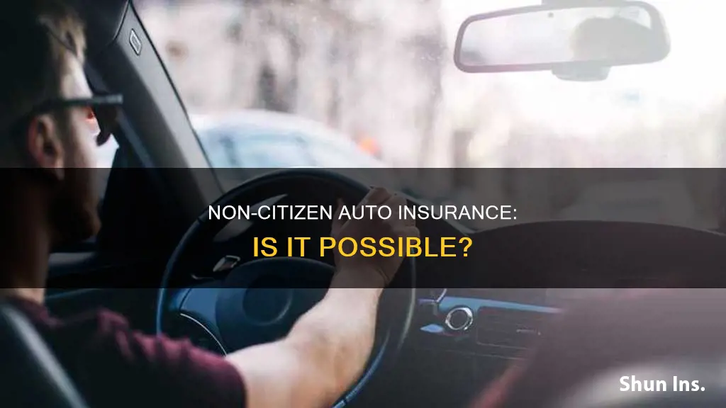 can non citizen get auto insurance