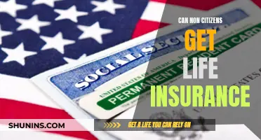 Life Insurance for Non-Citizens: Is It Possible?