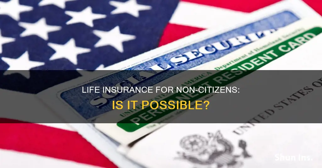 can non citizens get life insurance