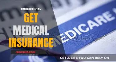 Non-Citizen Medical Insurance: What Are Your Options?
