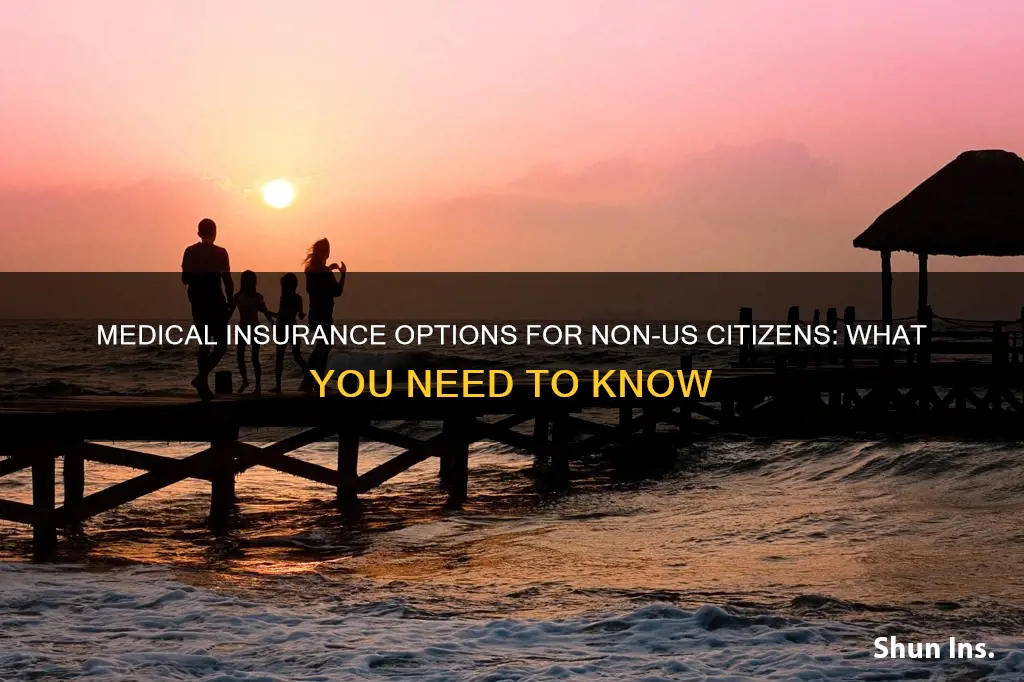 can non us citizens get medical insurance