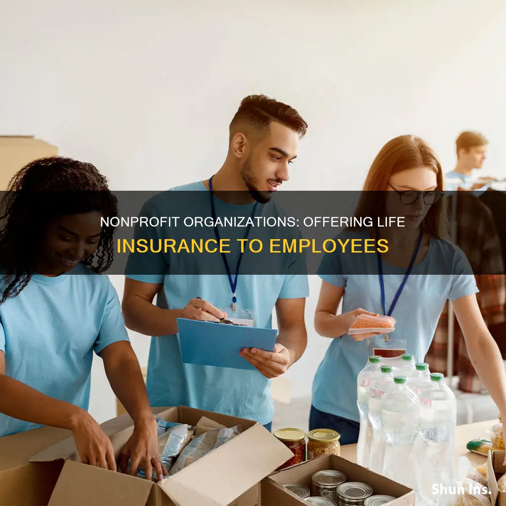 can nonprofit provide life insurance to employee