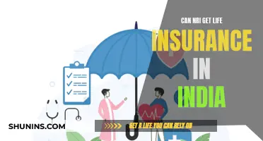 Life Insurance Options for NRIs in India