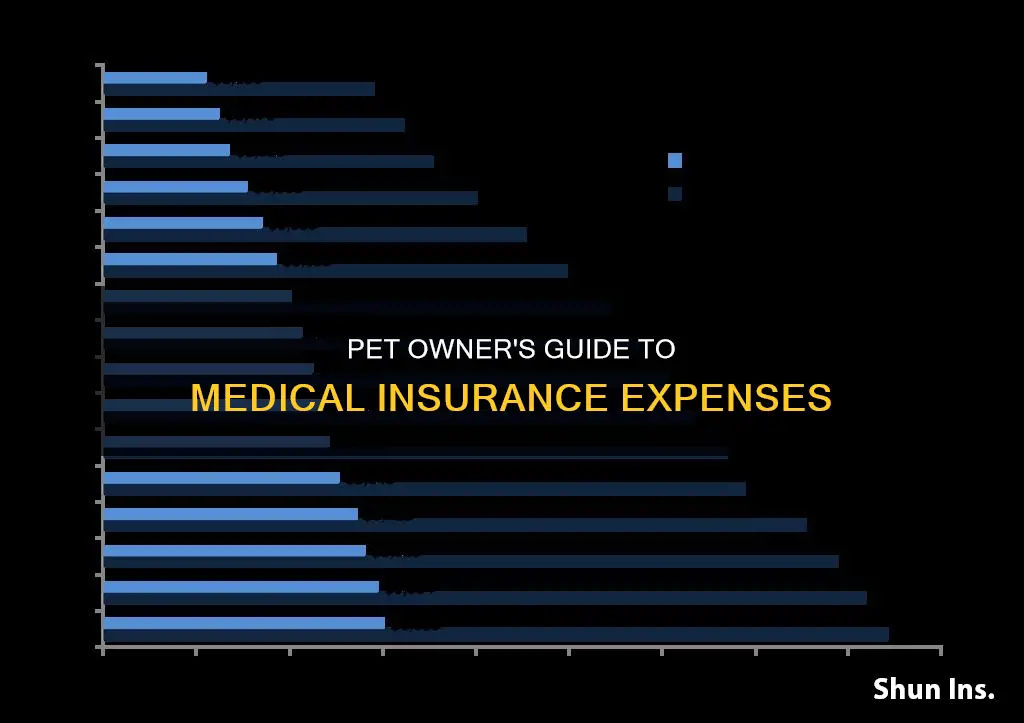 can owener expense medical insurance