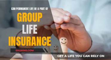 Permanent Life: Group Insurance Option?