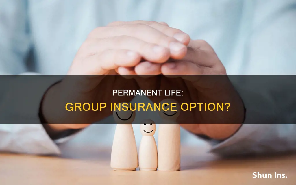 can permanent life be a part of group life insurance