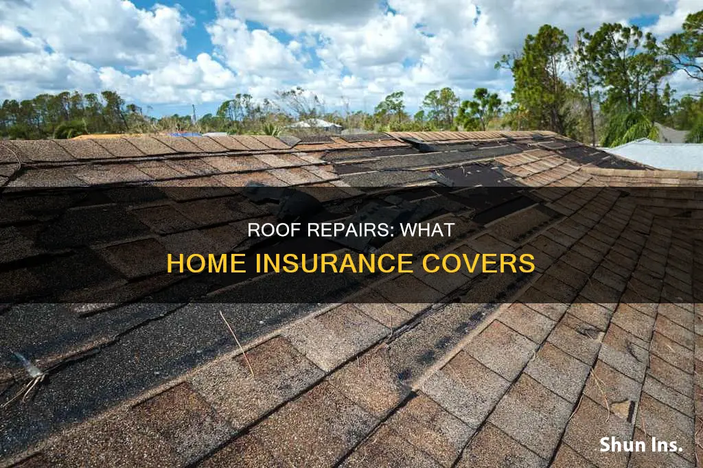 can roof repairs be submitted to homeowners insurance cover