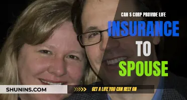 S Corp Life Insurance: Spouse Coverage Options