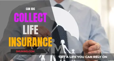 SBC's Role in Life Insurance Claims and Benefits