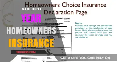 Homeowners Insurance: A Year-Long Safety Net for Sellers