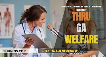 Single Mothers: Medical Insurance via GA Welfare