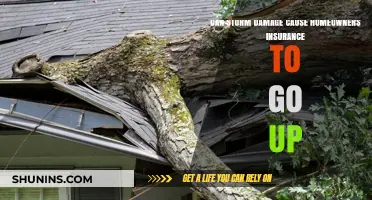 Storm Damage: Home Insurance Hike?