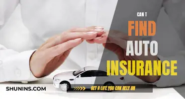 Auto Insurance: Lost and Found