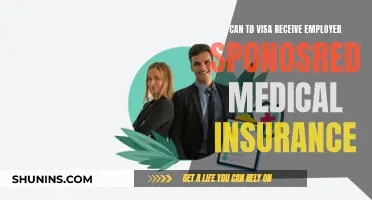 Visa Medical Insurance: What TD Visa Holders Need to Know