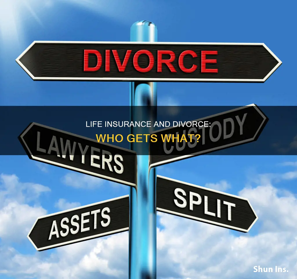 can term life insurance be split in a divorce