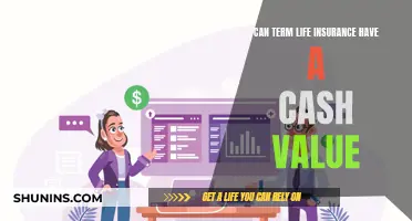 Term Life Insurance: Cash Value or Not?