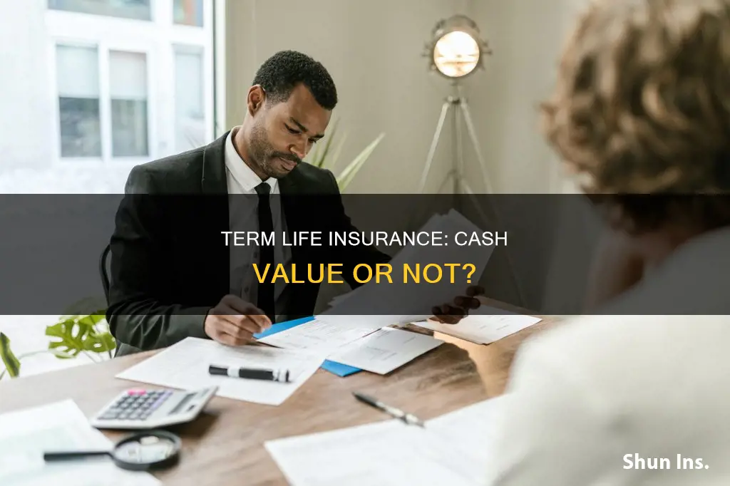 can term life insurance have a cash value