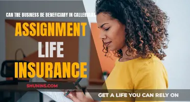 Business Benefits of Collateral Life Insurance Assignments