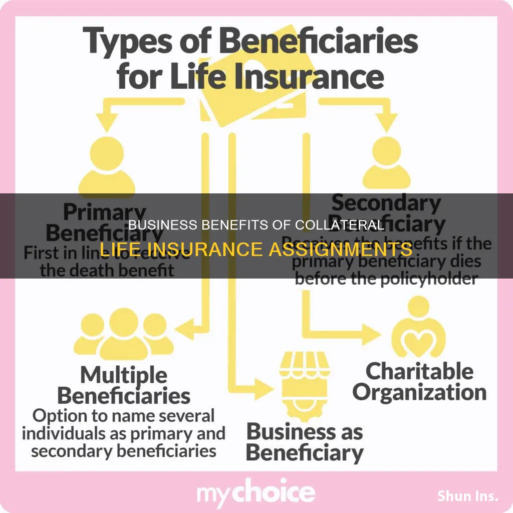 can the business be beneficiary in calleralas assignment life insurance