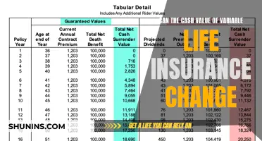 Understanding Variable Life Insurance Cash Value Changes