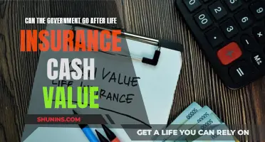 Life Insurance Cash Value: Safe from Government Seizure?